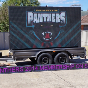 panthers